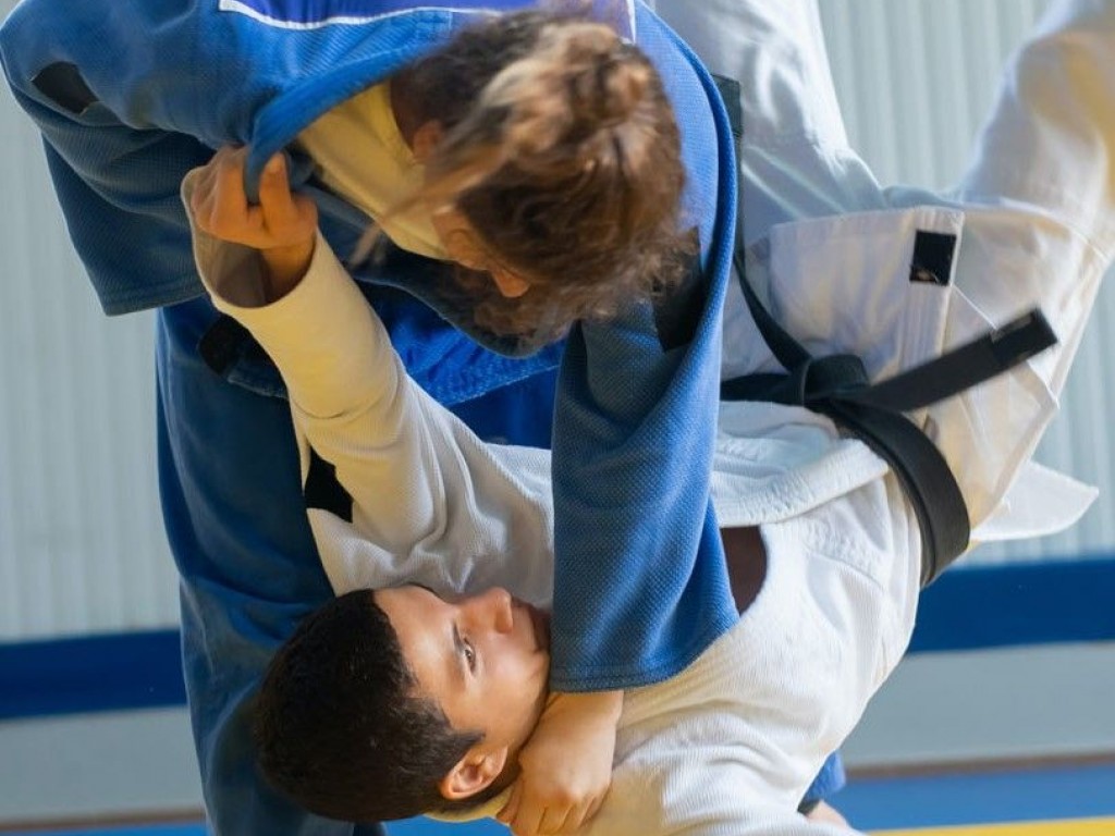 Image de l'actu 'Le CQP Moniteur Arts Martiaux option judo-jujitsu'
