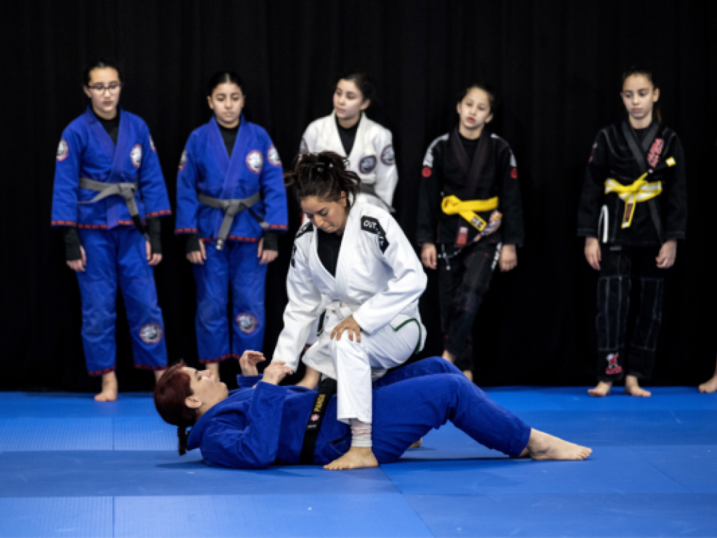 Image de l'actu 'Formation à l'enseignement du Jiu-Jitsu Brésilien'