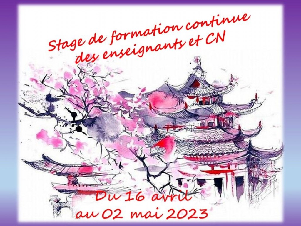 Image de l'actu 'STAGE DE FORMATION CONTINUE ENSEIGNANTS ET CN AU JAPON'
