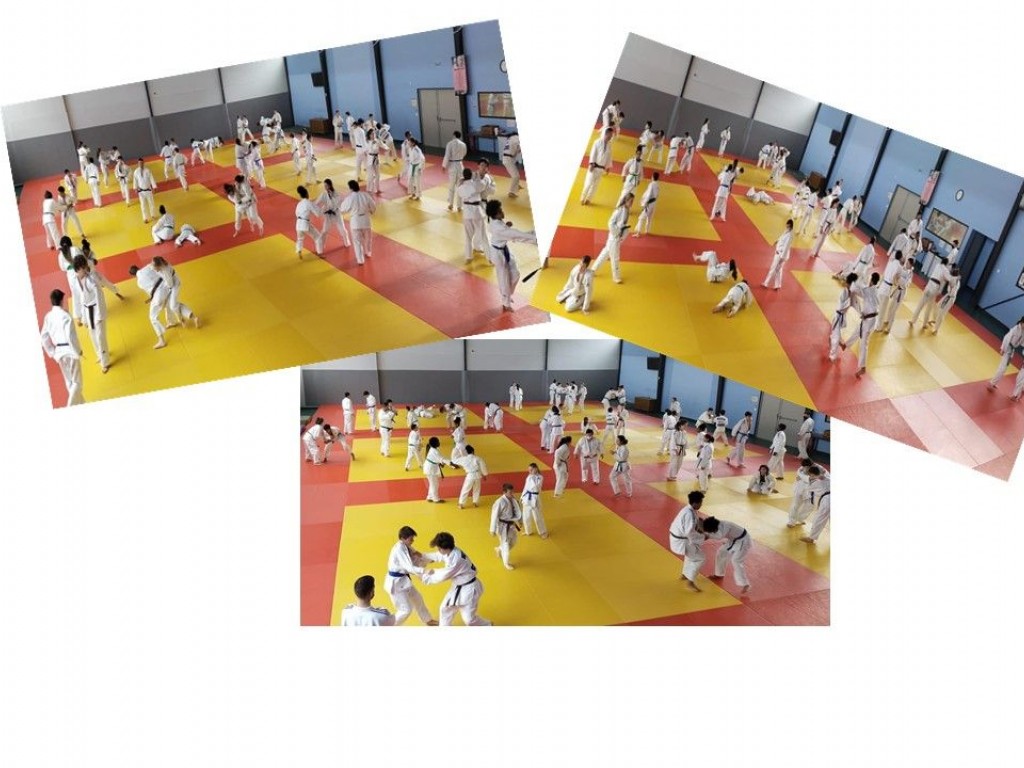 Image de l'actu 'Stage groupe élite minimes de la ligue Nouvelle Aquitaine Judo au creps Bordeaux'