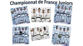 Image de l'actu 'GRADES LIMOGES ANNULATION UV3 !'