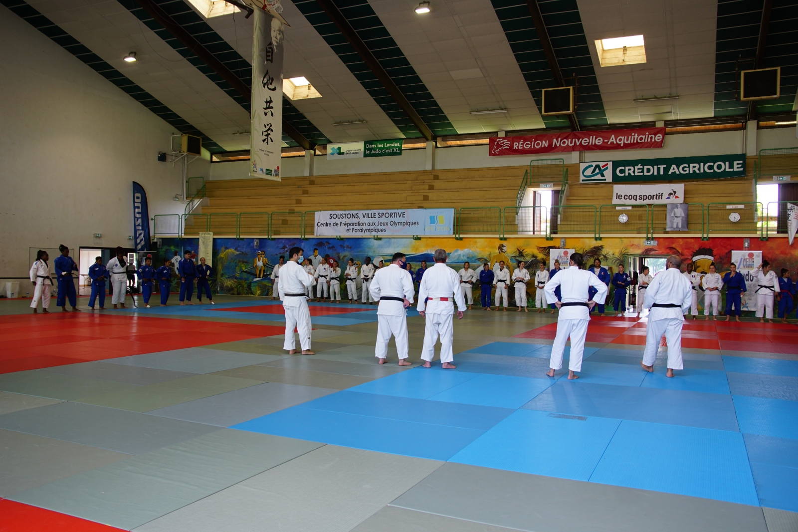 Stage - Equipe de France de Judo Féminine - Crédit Photo Eric BESEAU